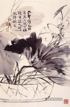  23 Galerie - Chang Dai Chien Lotus 23 traditionellen chinesischen
